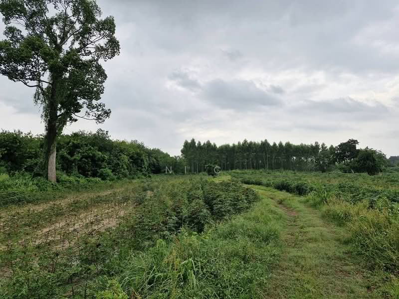 ที่ดินพนมสารคาม, Chachoengsao, Ban-Song, Phanom Sarakham, Chachoengsao, , 51,864 sqm, Land For Sale, by vanee chiracharasporn, 500209019 - DDproperty.com