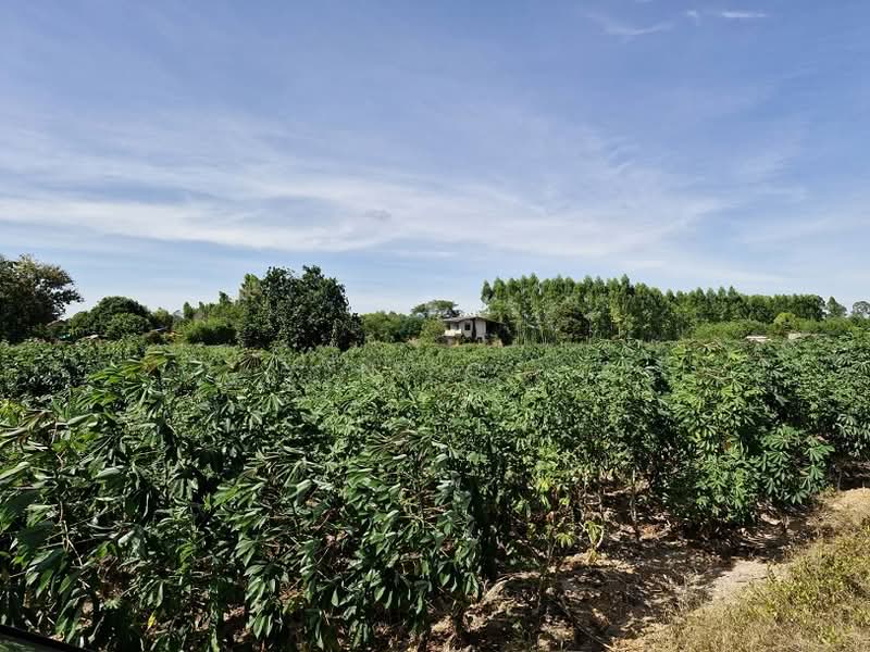 ที่ดินพนมสารคาม, Chachoengsao, Ban-Song, Phanom Sarakham, Chachoengsao, , 51,864 sqm, Land For Sale, by vanee chiracharasporn, 500209019 - DDproperty.com