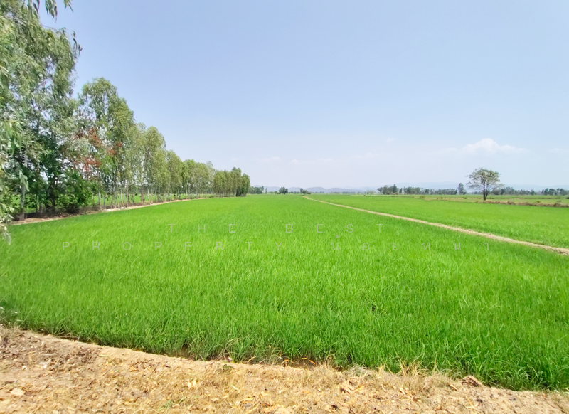 ที่ดินพิชัย อุตรดิตถ์, Uttaradit, Na Yang, Phichai, Uttaradit, , 22,240 sqm, Land For Sale, by The Best Property น้อยหน่า, 500209034 - DDproperty.com