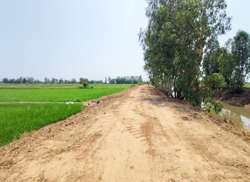 ที่ดินพิชัย อุตรดิตถ์, Uttaradit, Na Yang, Phichai, Uttaradit, , 22,240 sqm, Land For Sale, by The Best Property น้อยหน่า, 500209034 - DDproperty.com