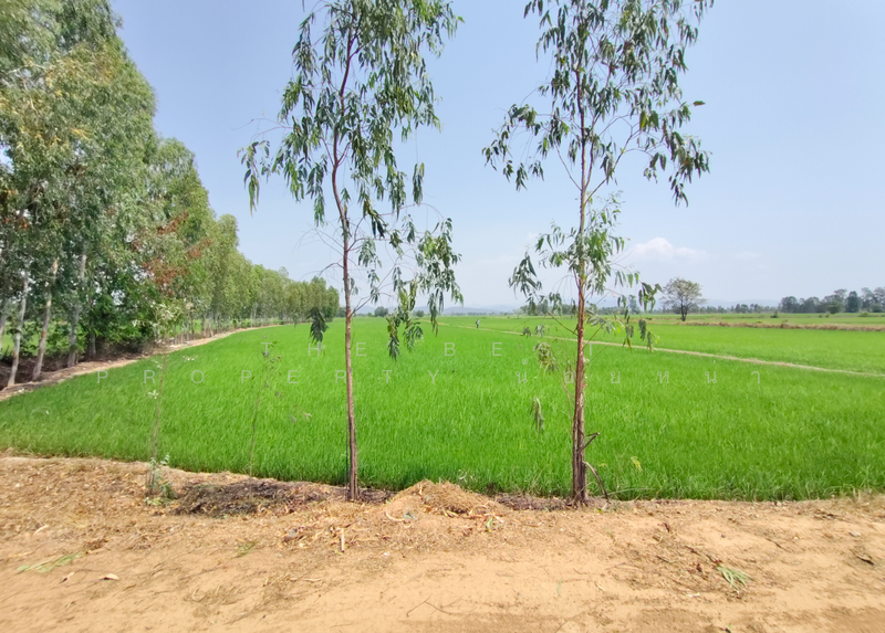 ที่ดินพิชัย อุตรดิตถ์, Uttaradit, Na Yang, Phichai, Uttaradit, , 22,240 sqm, Land For Sale, by The Best Property น้อยหน่า, 500209034 - DDproperty.com