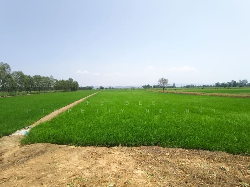 ที่ดินพิชัย อุตรดิตถ์, Uttaradit, Na Yang, Phichai, Uttaradit, , 22,240 sqm, Land For Sale, by The Best Property น้อยหน่า, 500209034 - DDproperty.com