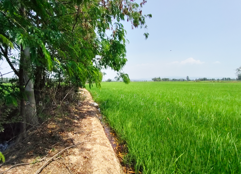 ที่ดินพิชัย อุตรดิตถ์, Uttaradit, Na Yang, Phichai, Uttaradit, , 22,240 sqm, Land For Sale, by The Best Property น้อยหน่า, 500209034 - DDproperty.com