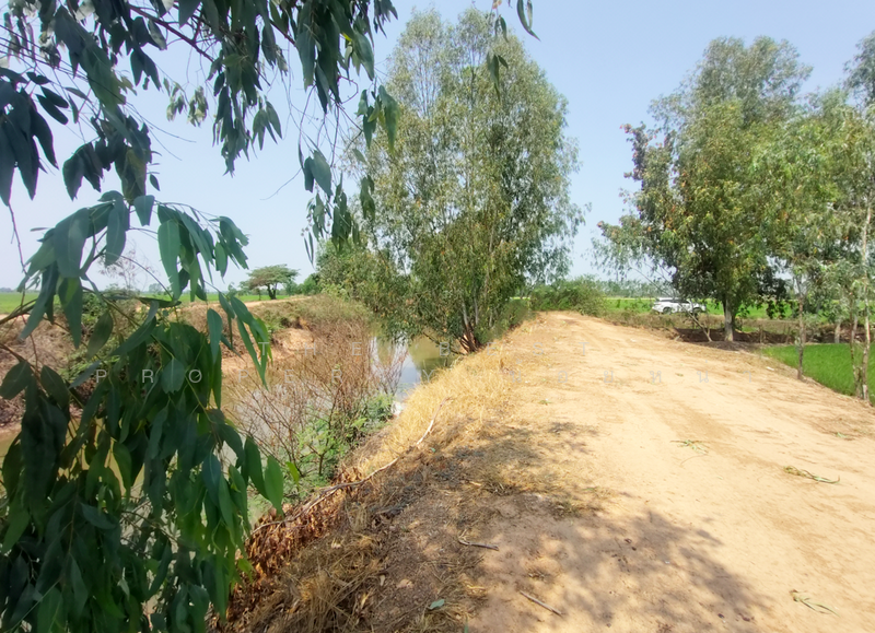 ที่ดินพิชัย อุตรดิตถ์, Uttaradit, Na Yang, Phichai, Uttaradit, , 22,240 sqm, Land For Sale, by The Best Property น้อยหน่า, 500209034 - DDproperty.com