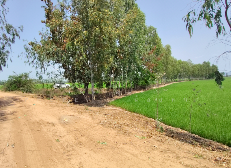 ที่ดินพิชัย อุตรดิตถ์, Uttaradit, Na Yang, Phichai, Uttaradit, , 22,240 sqm, Land For Sale, by The Best Property น้อยหน่า, 500209034 - DDproperty.com