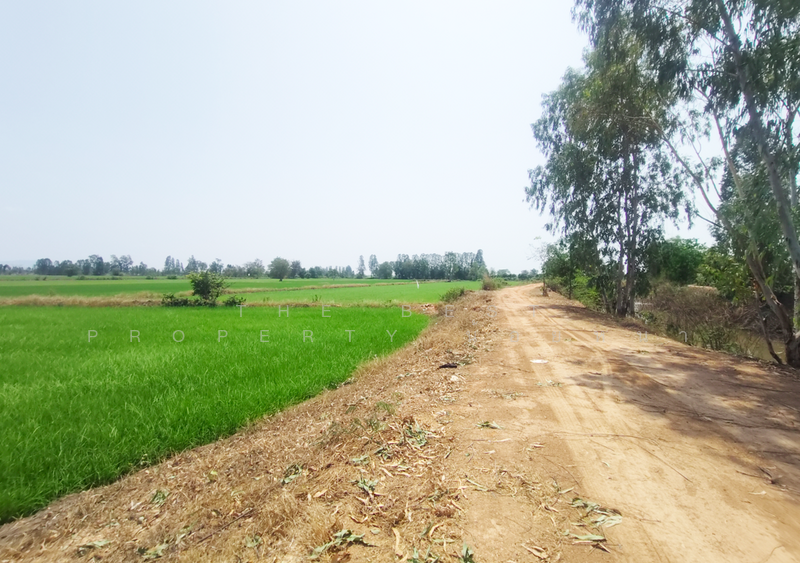 ที่ดินพิชัย อุตรดิตถ์, Uttaradit, Na Yang, Phichai, Uttaradit, , 22,240 sqm, Land For Sale, by The Best Property น้อยหน่า, 500209034 - DDproperty.com