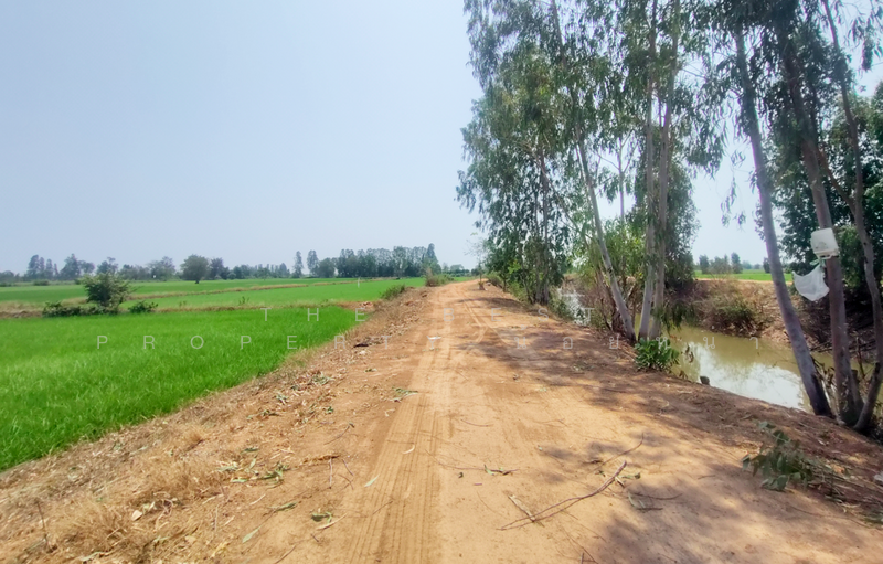 ที่ดินพิชัย อุตรดิตถ์, Uttaradit, Na Yang, Phichai, Uttaradit, , 22,240 sqm, Land For Sale, by The Best Property น้อยหน่า, 500209034 - DDproperty.com