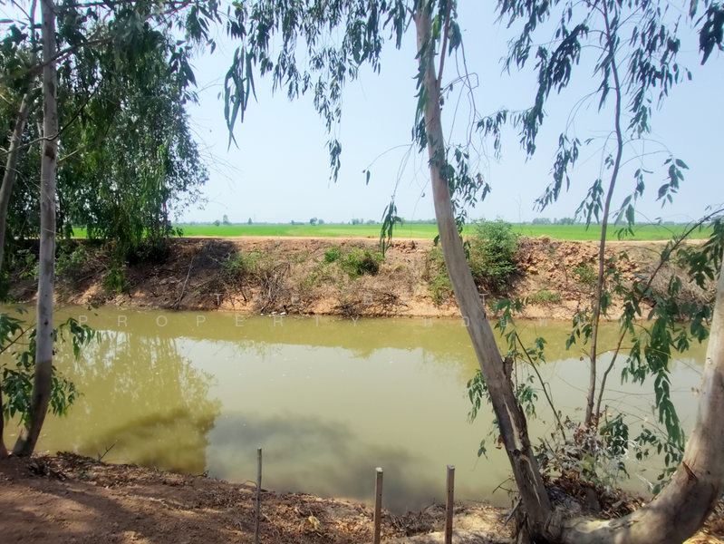 ที่ดินพิชัย อุตรดิตถ์, Uttaradit, Na Yang, Phichai, Uttaradit, , 22,240 sqm, Land For Sale, by The Best Property น้อยหน่า, 500209034 - DDproperty.com