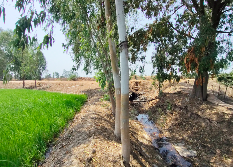 ที่ดินพิชัย อุตรดิตถ์, Uttaradit, Na Yang, Phichai, Uttaradit, , 22,240 sqm, Land For Sale, by The Best Property น้อยหน่า, 500209034 - DDproperty.com