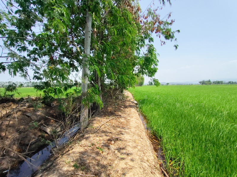 ที่ดินพิชัย อุตรดิตถ์, Uttaradit, Na Yang, Phichai, Uttaradit, , 22,240 sqm, Land For Sale, by The Best Property น้อยหน่า, 500209034 - DDproperty.com