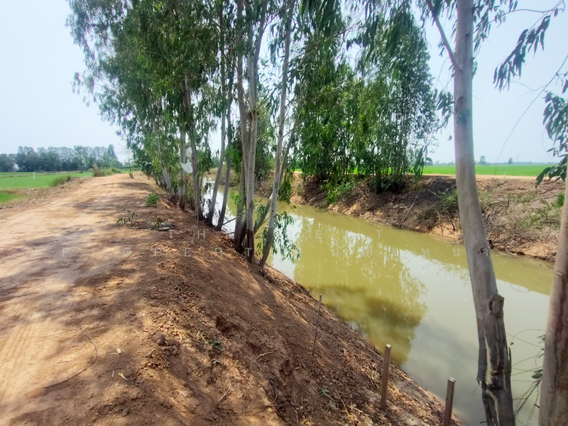 ที่ดินพิชัย อุตรดิตถ์, Uttaradit, Na Yang, Phichai, Uttaradit, , 22,240 sqm, Land For Sale, by The Best Property น้อยหน่า, 500209034 - DDproperty.com