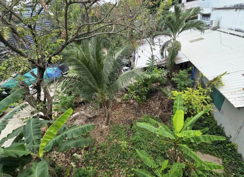 ขายอาคารพาณิชย์ มั่งมีแสนสุข ซอยสะแกงาม 35/3 แยก4 แขวงแสมดำ เขตบางขุนเทียน กรุงเทพมหานคร 10150, กรุงเทพ, แสมดำ, บางขุนเทียน, กรุงเทพ, 772 ตร.ม., ตึกแถว-อาคารพาณิชย์ ขาย, โดย คุณชัยรัตน์ กุลวรกันต์ (เจมส์), 500209084 - DDproperty.com