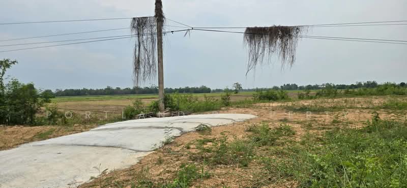 ขายที่ดินหาดกรวด สายเอเชีย ถมแล้ว เสมอถนน 1-3-26 ไร่, Uttaradit, Hat Kruat, Muang Uttaradit, Uttaradit, , 2,904 sqm, Land For Sale, by PortLand Property, 500209085 - DDproperty.com