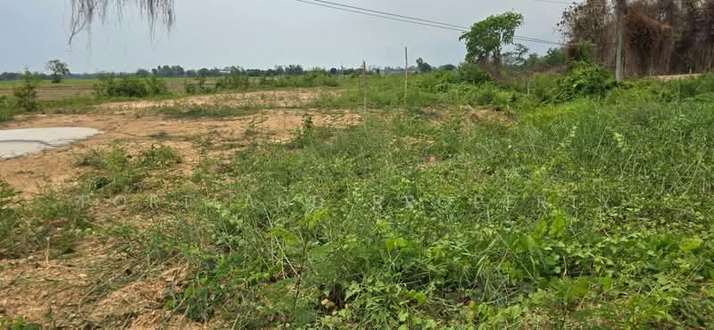 ขายที่ดินหาดกรวด สายเอเชีย ถมแล้ว เสมอถนน 1-3-26 ไร่, Uttaradit, Hat Kruat, Muang Uttaradit, Uttaradit, , 2,904 sqm, Land For Sale, by PortLand Property, 500209085 - DDproperty.com