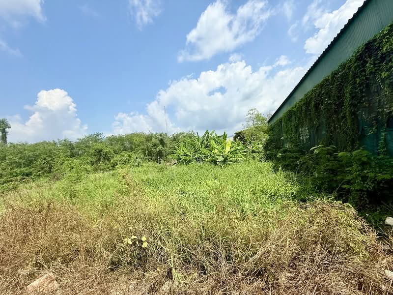 ที่ดินพลับพลา จันทบุรี, จันทบุรี, พลับพลา, เมืองจันทบุรี, จันทบุรี, 392 ตร.ม., ที่ดิน ขาย, โดย The Best Property เมญ่า, 500209091 - DDproperty.com