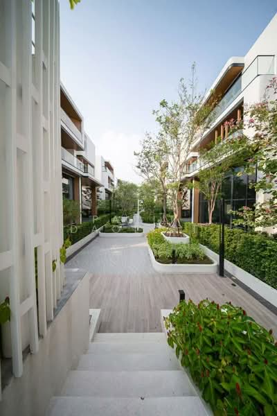 Culture 188, Bangkok, Bang Kapi, Huai Khwang, Bangkok, 3 Bedrooms, 550 sqm, Single Detached House For Rent, by Parit Daolert, 500209098 - DDproperty.com