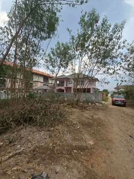 land for sell, Nakhon Ratchasima, Pong Ta Long, Pak Chong, Nakhon Ratchasima, , 400 sqm, Land For Sale, by คุณเชอร์รี่, 500209131 - DDproperty.com