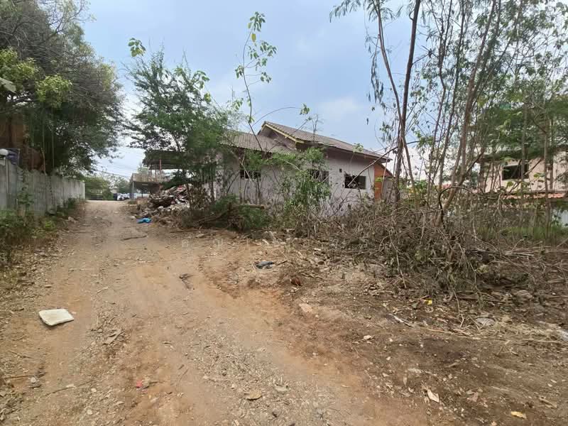 land for sell, Nakhon Ratchasima, Pong Ta Long, Pak Chong, Nakhon Ratchasima, , 400 sqm, Land For Sale, by คุณเชอร์รี่, 500209131 - DDproperty.com