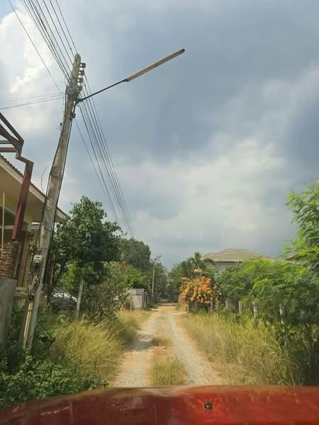 land for sell, Nakhon Ratchasima, Pong Ta Long, Pak Chong, Nakhon Ratchasima, , 400 sqm, Land For Sale, by คุณเชอร์รี่, 500209131 - DDproperty.com
