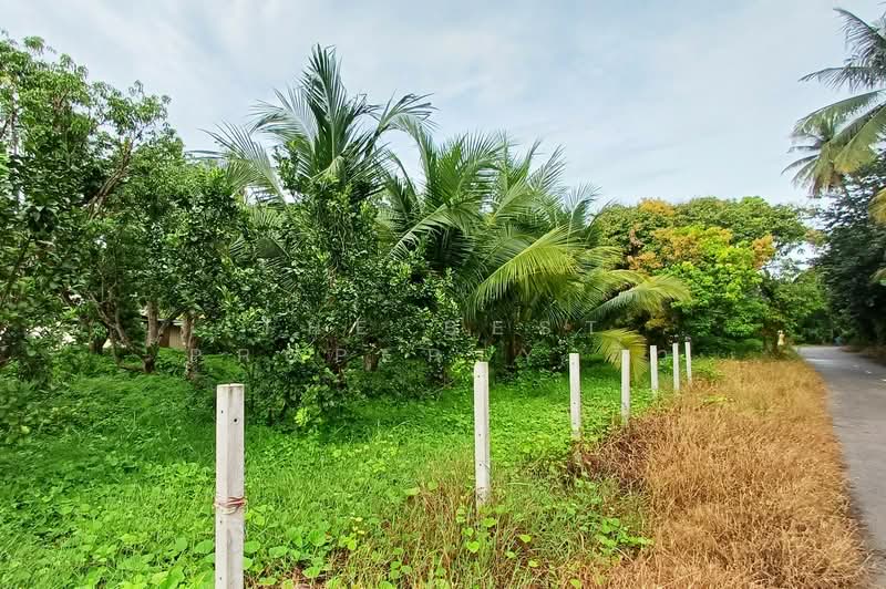 บ้านเดี่ยวพร้อมที่ดินอัมพวา สมุทรสงคราม, Samut Songkhram, Khaeo Om, Amphawa, Samut Songkhram, 3 Bedrooms, 150 sqm, Single Detached House For Sale, by The Best Property อิ๋ว, 500209147 - DDproperty.com