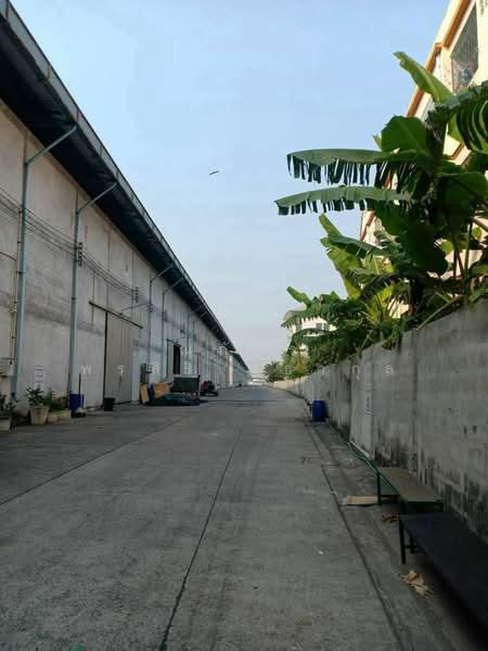 โกดังให้เช่า ราชาเทวะ ขนาด 900 ตรม บางเสาธง สมุทรปราการ (TW8-09926), Samut Prakan, ถนนอ่อนนุช หลวงแพ่ง, Bang Sao Thong, Samut Prakan, , 900 sqm, Warehouse/Factory For Rent, by ณภัทร พรสิริเมธากุล, 500209168 - DDproperty.com
