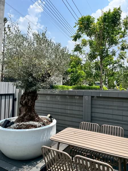 Saransiri Rangsit 2 : สราญสิริ รังสิต 2, ปทุมธานี, บ้านกลาง, เมืองปทุมธานี, ปทุมธานี, 300 ตร.ม., บ้านเดี่ยว ให้เช่า, โดย สลิลา อภิญญาณกุล, 500209227 - DDproperty.com