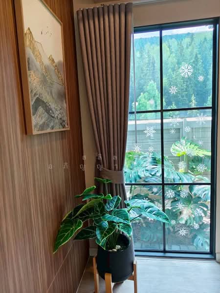 Saransiri Rangsit 2 : สราญสิริ รังสิต 2, ปทุมธานี, บ้านกลาง, เมืองปทุมธานี, ปทุมธานี, 300 ตร.ม., บ้านเดี่ยว ให้เช่า, โดย สลิลา อภิญญาณกุล, 500209227 - DDproperty.com