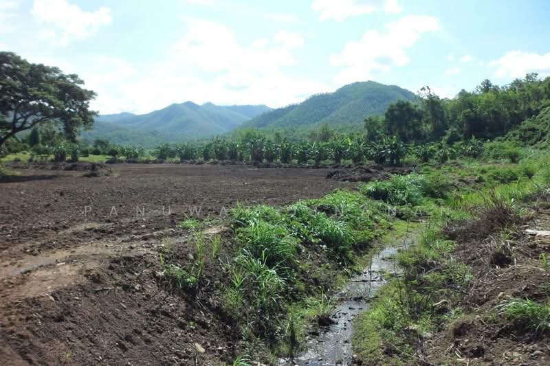 ไม่พบโครงการ, Chiang Mai, -, Mae Ho Phra, Mae Taeng, Chiang Mai, , 3,800 sqm, Land For Sale, by Panuwat Jinanan, 500209236 - DDproperty.com