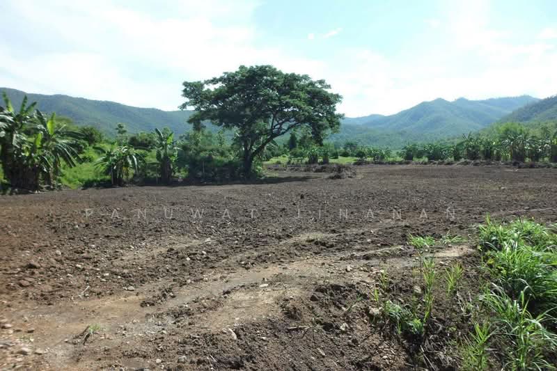 ไม่พบโครงการ, Chiang Mai, -, Mae Ho Phra, Mae Taeng, Chiang Mai, , 3,800 sqm, Land For Sale, by Panuwat Jinanan, 500209236 - DDproperty.com