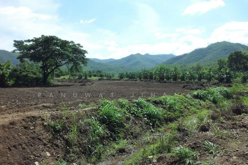 ไม่พบโครงการ, Chiang Mai, -, Mae Ho Phra, Mae Taeng, Chiang Mai, , 3,800 sqm, Land For Sale, by Panuwat Jinanan, 500209236 - DDproperty.com