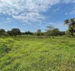 ขายด่วนที่ดินเปล่า แปลงใหญ่ ทำเลดี ลิปาน้อย สุราษฎร์ธานี, สุราษฎร์ธานี