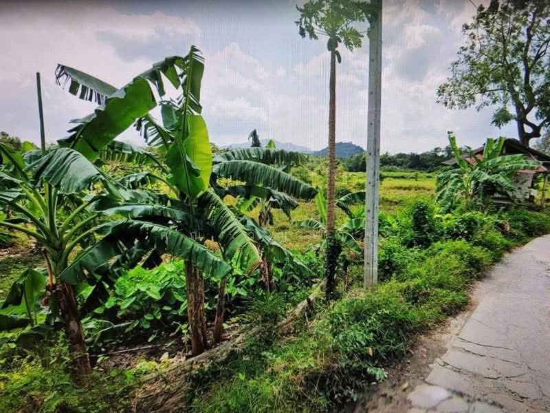 ขายด่วนที่ดินเปล่า แปลงใหญ่ ทำเลดี ลิปาน้อย สุราษฎร์ธานี, Surat Thani, Lipa Noi, Ko Samui, Surat Thani, , 5,780 sqm, Land For Sale, by คุณ วิญากร, 500209259 - DDproperty.com