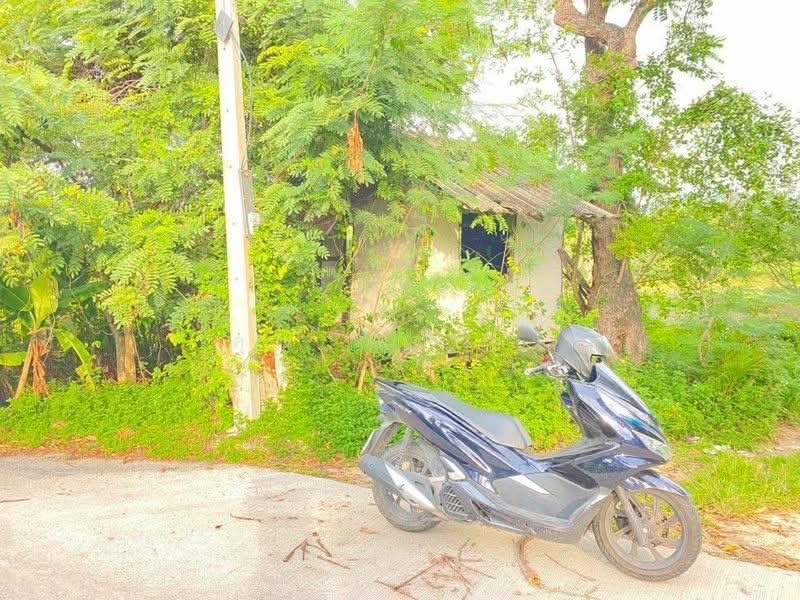 ขายด่วนที่ดินเปล่า แปลงใหญ่ ทำเลดี ลิปาน้อย สุราษฎร์ธานี, Surat Thani, Lipa Noi, Ko Samui, Surat Thani, , 5,780 sqm, Land For Sale, by คุณ วิญากร, 500209259 - DDproperty.com