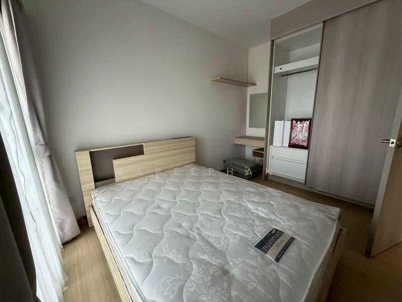 Whizdom Connect Sukhumvit : วิสซ์ดอม คอนเนค สุขุมวิท, กรุงเทพ, 1 ซอยปิยบุตร์ 1 ถนนสุขุมวิท, บางนา, บางนา, กรุงเทพ, 29 ตร.ม., คอนโด ขาย, โดย Rapeephan, 500209323 - DDproperty.com