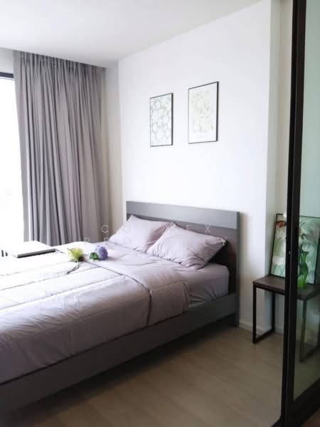 Ciela Charan 13 Station, Bangkok, Soi Charansanitwong 13, Charansanitwong Road, Wat Tha Pra, Bangkok Yai, Bangkok, 1 Bedroom, 32 sqm, Condo For Rent, by Connex Property, 500209370 - DDproperty.com