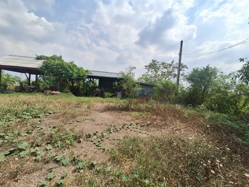 ขายที่ดินพร้อมสิ่งปลูกสร้าง 2-3-0 ไร่ หน้ากว้างติดถนน 47 เมตร อ.ลาดบัวหลวง จ.พระนครศรีอยุธยา, พระนครศรีอยุธยา, คู้สลอด, ลาดบัวหลวง, พระนครศรีอยุธยา, 4,400 ตร.ม., ที่ดิน ขาย, โดย paiwong onna-ngam, 500209488 - DDproperty.com