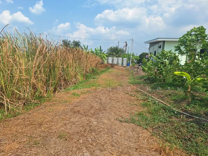 ขายที่ดินพร้อมสิ่งปลูกสร้าง 2-3-0 ไร่ หน้ากว้างติดถนน 47 เมตร อ.ลาดบัวหลวง จ.พระนครศรีอยุธยา, พระนครศรีอยุธยา, คู้สลอด, ลาดบัวหลวง, พระนครศรีอยุธยา, 4,400 ตร.ม., ที่ดิน ขาย, โดย paiwong onna-ngam, 500209488 - DDproperty.com