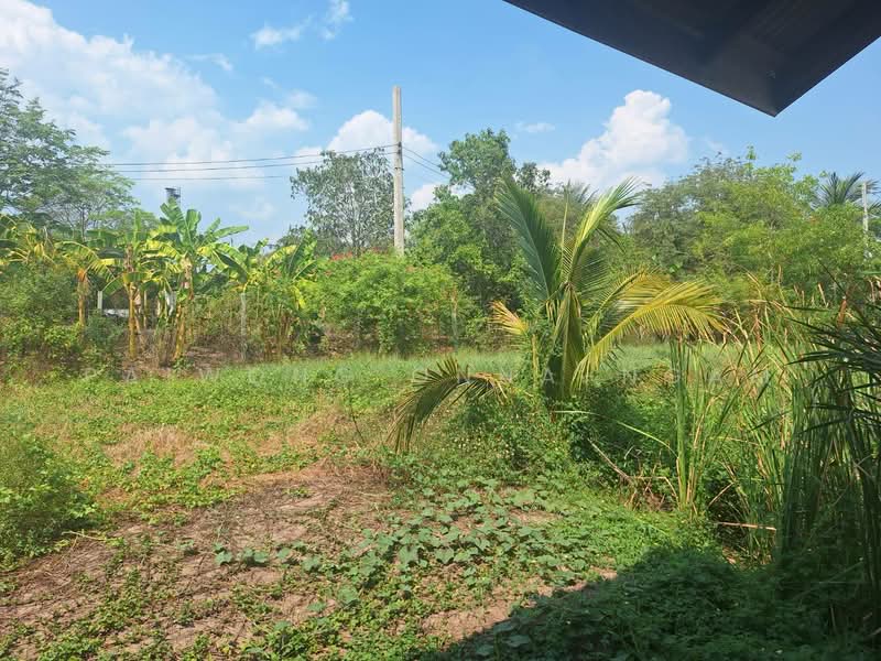 ขายที่ดินพร้อมสิ่งปลูกสร้าง 2-3-0 ไร่ หน้ากว้างติดถนน 47 เมตร อ.ลาดบัวหลวง จ.พระนครศรีอยุธยา, พระนครศรีอยุธยา, คู้สลอด, ลาดบัวหลวง, พระนครศรีอยุธยา, 4,400 ตร.ม., ที่ดิน ขาย, โดย paiwong onna-ngam, 500209488 - DDproperty.com