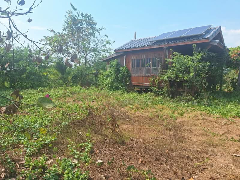 ขายที่ดินพร้อมสิ่งปลูกสร้าง 2-3-0 ไร่ หน้ากว้างติดถนน 47 เมตร อ.ลาดบัวหลวง จ.พระนครศรีอยุธยา, พระนครศรีอยุธยา, คู้สลอด, ลาดบัวหลวง, พระนครศรีอยุธยา, 4,400 ตร.ม., ที่ดิน ขาย, โดย paiwong onna-ngam, 500209488 - DDproperty.com