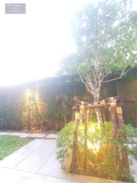 Noble Ambience Sukhumvit 42 : โนเบิล แอมเบียนส์ สุขุมวิท 42, กรุงเทพ, 55 ซอยสุขชัย, คลองตัน, คลองเตย, กรุงเทพ, 51 ตร.ม., คอนโด ให้เช่า, โดย Netsanthiah Ai, 500209489 - DDproperty.com