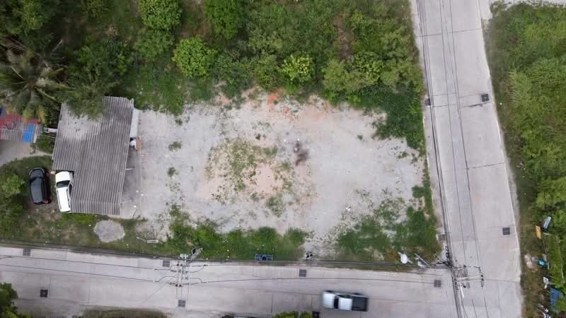 ขาย - ที่ดิน 130 วา ถนนข้าวหลาม, ชลบุรี