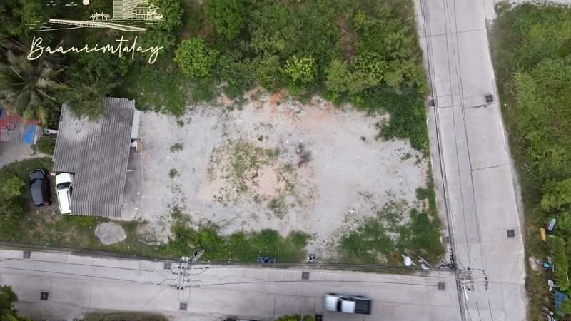 ที่ดิน 130 วา ถนนข้าวหลาม, Chon Buri (Pattaya), แสนสุข, Saen Suk, Muang Chon Buri, Chon Buri (Pattaya), , 520 sqm, Land For Sale, by Paula ., 500209516 - DDproperty.com