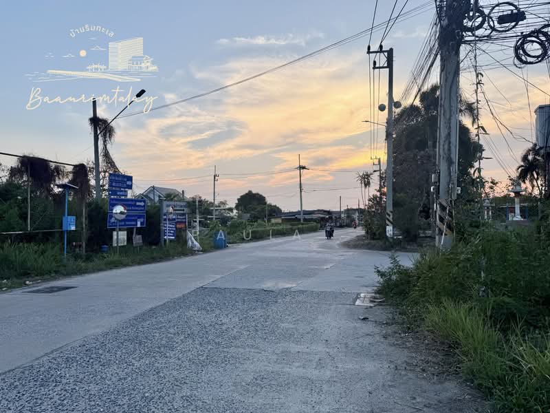 ที่ดิน 130 วา ถนนข้าวหลาม, Chon Buri (Pattaya), แสนสุข, Saen Suk, Muang Chon Buri, Chon Buri (Pattaya), , 520 sqm, Land For Sale, by Paula ., 500209516 - DDproperty.com