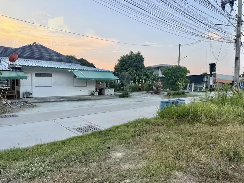 ขาย - ที่ดิน 130 วา ถนนข้าวหลาม, ชลบุรี