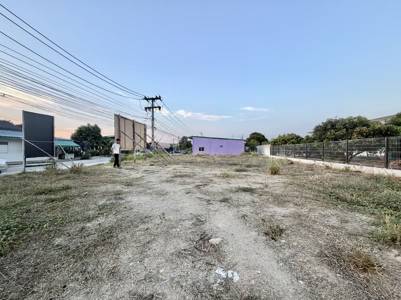ที่ดิน 130 วา ถนนข้าวหลาม, Chon Buri (Pattaya), แสนสุข, Saen Suk, Muang Chon Buri, Chon Buri (Pattaya), , 520 sqm, Land For Sale, by Paula ., 500209516 - DDproperty.com