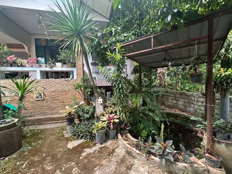 ขาย - บ้านเดี่ยวพร้อมที่ดินวังจันทร์ ระยอง, ระยอง