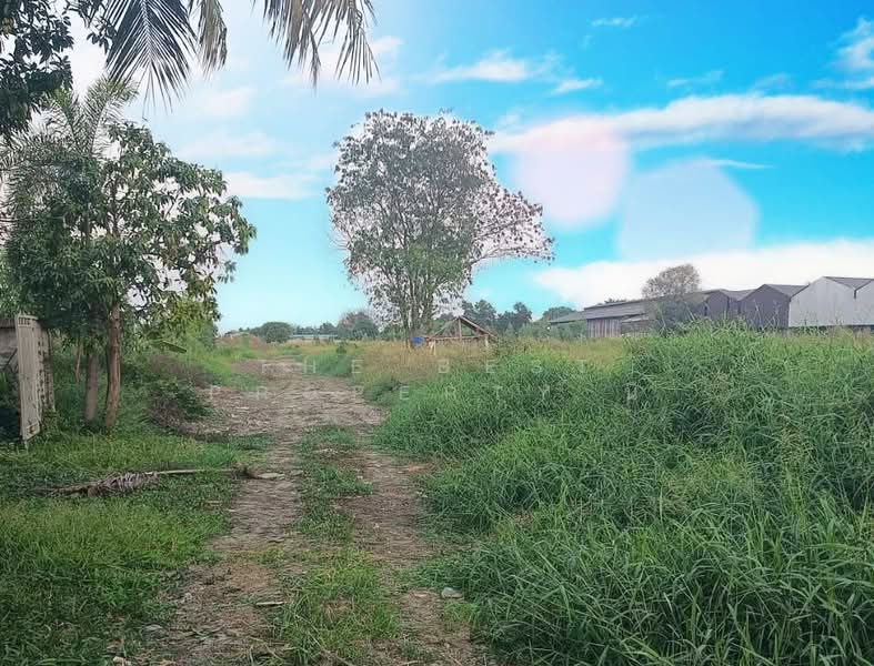 ที่ดินลาดกระบัง กรุงเทพมหานคร, กรุงเทพ, คลองสามประเวศ, ลาดกระบัง, กรุงเทพ, 1,200 ตร.ม., ที่ดิน ขาย, โดย The Best Property นิ, 500209567 - DDproperty.com