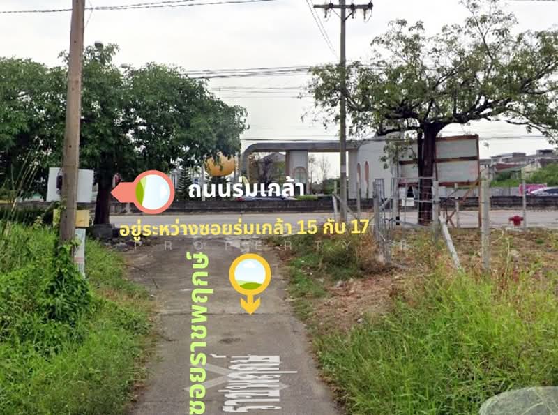 ที่ดินลาดกระบัง กรุงเทพมหานคร, Bangkok, Khlong Sam Prawet, Lat Krabang, Bangkok, , 1,200 sqm, Land For Sale, by The Best Property นิ, 500209567 - DDproperty.com