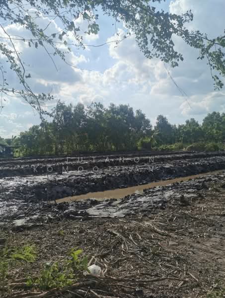 ขายที่ดินเปล่า 1-2-14 ไร่ ลำลูกกา คลอง 13 สายกลาง ใกล้แหล่งชุมชน เข้าซอยเพียง 400 ม., ปทุมธานี, บึงคอไห, ลำลูกกา, ปทุมธานี, 2,456 ตร.ม., ที่ดิน ขาย, โดย Jutanon Komoottanaruk, 500209671 - DDproperty.com