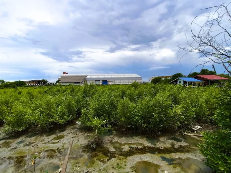 Land For Sale, Samut Prakan, Bang Pu, Muang Samut Prakarn, Samut Prakan, , 12,492 sqm, Land For Sale, by Wicharn Kaonah, 500209681 - DDproperty.com